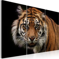 Artgeist A Wild Tiger taulusetti