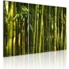 Artgeist Green Bamboo taulusetti