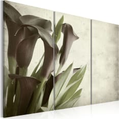 Artgeist Callas - Vintage taulusetti