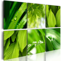 Artgeist Fresh Green Leaves taulusetti