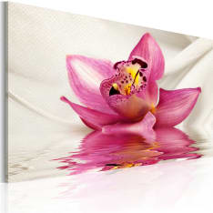 Artgeist Unusual Orchid taulu