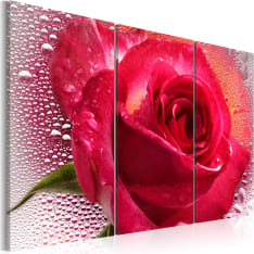 Artgeist Lady Rose - Triptych taulusetti