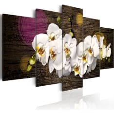 Artgeist Kuin Valkoinen Pilvi - 5 Kpl taulusetti