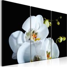 Artgeist Luminen Orkidea taulusetti