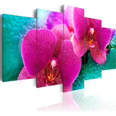 Artgeist Exotic Orchids taulusetti