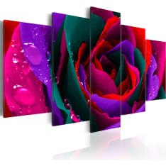 Artgeist Multicoloured Rose taulusetti