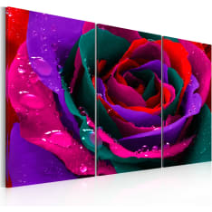 Artgeist Rainbow-Värinen Ruusu taulusetti