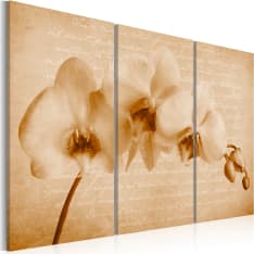 Artgeist Orchid (Vintage) taulusetti