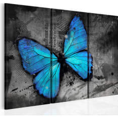 Artgeist The Study Of Butterfly - Triptych taulusetti