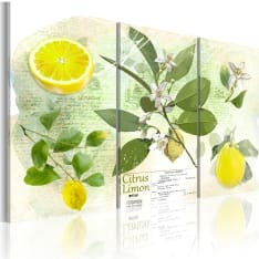Artgeist Fruit: Lemon taulusetti