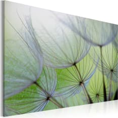 Artgeist Dandelion In The Wind taulu