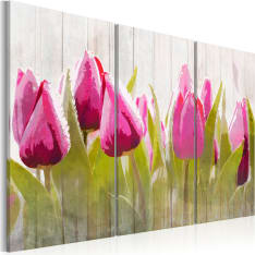 Artgeist Spring Bouquet Of Tulips taulusetti