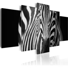 Artgeist Zebra Look taulusetti