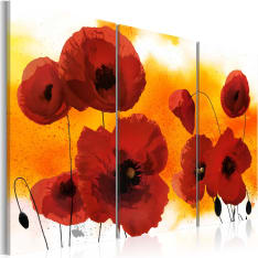 Artgeist Sunny Afternoon And Poppies taulusetti