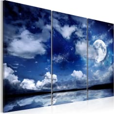 Artgeist The Sea At Night taulusetti