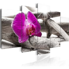 Artgeist Orchid On Beach taulusetti