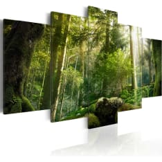 Artgeist The Beauty Of The Forest taulusetti
