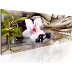 Artgeist Zen Composition: Beige taulu