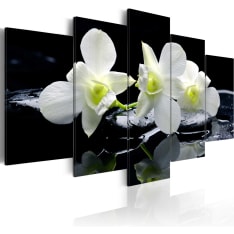 Artgeist Melancholic Orchids taulusetti