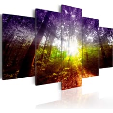 Artgeist Rainbow Forest taulusetti