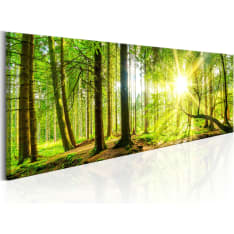 Artgeist Majestic Trees taulu