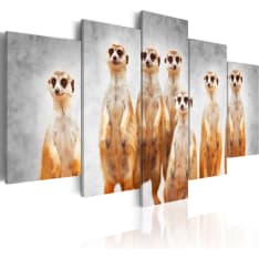 Artgeist Meerkats taulusetti
