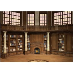 Artgeist Library Of Dreams fototapetti