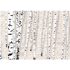 Artgeist Birchen Grove fototapetti