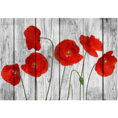Artgeist Tale Of Red Poppies fototapetti