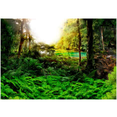 Artgeist In Tropics fototapetti