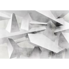 Artgeist Frozen Wings fototapetti