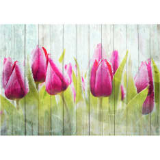 Artgeist Tulips On White Wood fototapetti