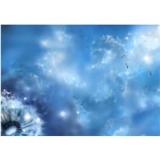 Artgeist Magic Of Nature fototapetti