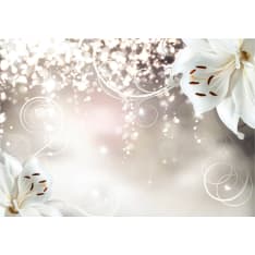 Artgeist Magic Composition fototapetti