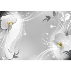 Artgeist Charming Orchid fototapetti