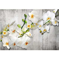 Artgeist With Saffron Accent fototapetti