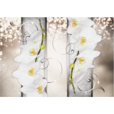 Artgeist Sophisticated Duet fototapetti