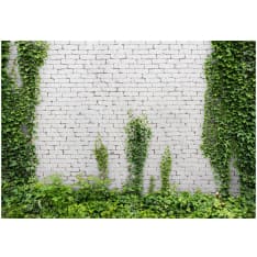 Artgeist Creeping Ivy fototapetti