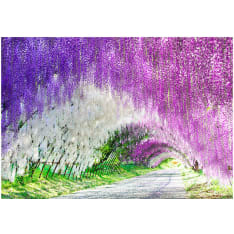 Artgeist Enchanted Garden fototapetti