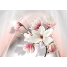 Artgeist White Magnolias fototapetti