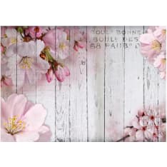 Artgeist Apple Blossoms fototapetti