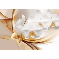 Artgeist Orchid Blossom fototapetti