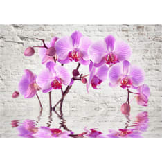 Artgeist Purple Delight fototapetti