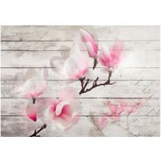 Artgeist Gentleness Of The Magnolia fototapetti