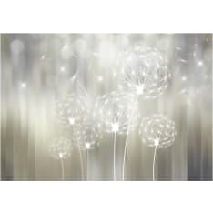 Artgeist Gift Of The Sun fototapetti