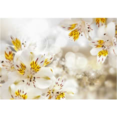Artgeist Sunny Alstroemeria fototapetti