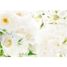 Artgeist White Sigh fototapetti