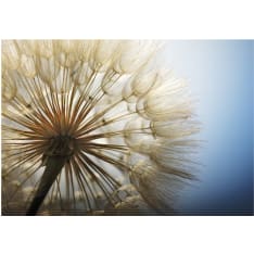 Artgeist Summer Delight fototapetti