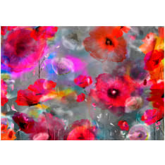 Artgeist Painted Poppies fototapetti