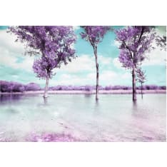 Artgeist Heather Landscape fototapetti